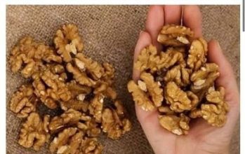 Evo zašto bi svako trebao jesti šaku oraha svakog dana! Evo zašto bi svako trebao jesti šaku oraha svakog dana!