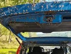 Invazija smrdibuba u BiH: Zidovi i prozori prekriveni insektima, mještani u panici Invazija smrdibuba u BiH: Zidovi i prozori prekriveni insektima, mještani u panici