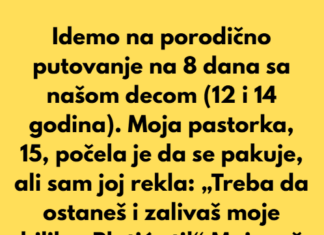 „Isključila sam svoju pastorku sa porodičnog putovanja“ „Isključila sam svoju pastorku sa porodičnog putovanja“