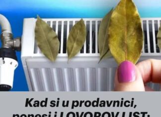 Kad si u prodavnici, ponesi i LOVOROV LIST: Kod kuće ga samo stavi na RADIJATOR i ostavi tamo, svi bi trebali znati za efekat! Kad si u prodavnici, ponesi i LOVOROV LIST: Kod kuće ga samo stavi na RADIJATOR i ostavi tamo, svi bi trebali znati za efekat!