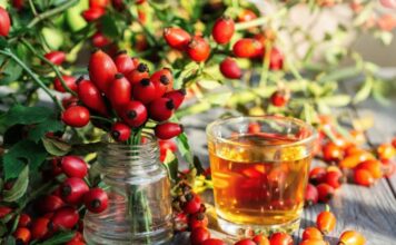 Kako da bustujete imunitet u jesen? 6 namirnica je dar iz prirode, a dve stižu pravo iz šume Kako da bustujete imunitet u jesen? 6 namirnica je dar iz prirode, a dve stižu pravo iz šume