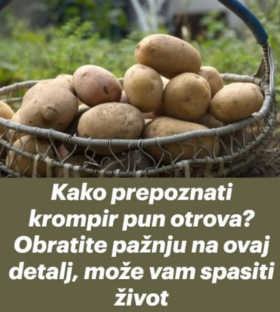 Kako prepoznati krompir pun otrova Obratite pažnju na ovaj detalj, može vam spasiti život Kako prepoznati krompir pun otrova Obratite pažnju na ovaj detalj, može vam spasiti život