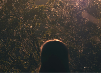 Kako su keksi vratili osmijeh u kuću Navarra Kako su keksi vratili osmijeh u kuću Navarra