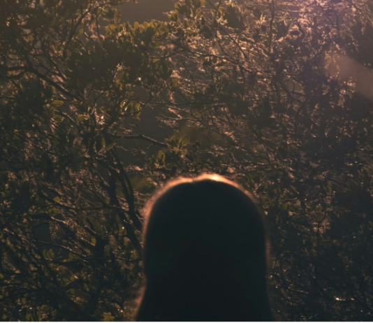 Kako su keksi vratili osmijeh u kuću Navarra Kako su keksi vratili osmijeh u kuću Navarra