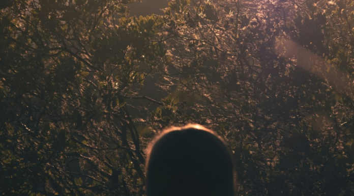 Kako su keksi vratili osmijeh u kuću Navarra Kako su keksi vratili osmijeh u kuću Navarra