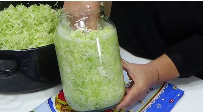 Kiseli kupus iz tegle, spreman za 7 dana! Pun vitamina, prirodni probiiotik i lijek! Kiseli kupus iz tegle, spreman za 7 dana! Pun vitamina, prirodni probiiotik i lijek!