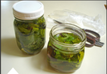 Kopriva za zdravlje od glave do pete Kopriva za zdravlje od glave do pete