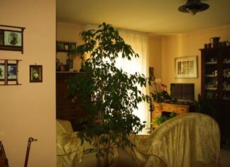 Korejski način čišćena kuće koji svaku ženu pretvara u kraljicu: Metoda od 3 minuta koju poštuju i lenji ljudi Korejski način čišćena kuće koji svaku ženu pretvara u kraljicu: Metoda od 3 minuta koju poštuju i lenji ljudi