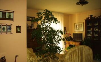 Korejski način čišćena kuće koji svaku ženu pretvara u kraljicu: Metoda od 3 minuta koju poštuju i lenji ljudi Korejski način čišćena kuće koji svaku ženu pretvara u kraljicu: Metoda od 3 minuta koju poštuju i lenji ljudi