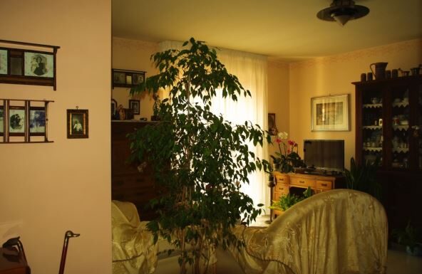 Korejski način čišćena kuće koji svaku ženu pretvara u kraljicu: Metoda od 3 minuta koju poštuju i lenji ljudi Korejski način čišćena kuće koji svaku ženu pretvara u kraljicu: Metoda od 3 minuta koju poštuju i lenji ljudi