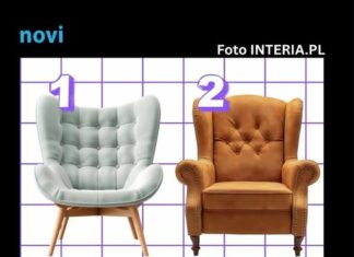 NA KOJOJ STOLICI BISTE SADA SJEDILI? To otkriva puno o vama i kakva ste osoba! NA KOJOJ STOLICI BISTE SADA SJEDILI? To otkriva puno o vama i kakva ste osoba!