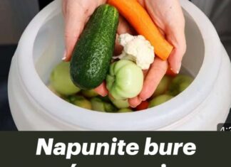 Napunite bure povrćem za zimu – Stari provereni recept za TURŠIJU 🥒