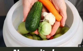 Napunite bure povrćem za zimu – Stari provereni recept za TURŠIJU 🥒