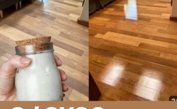 Od OVOG se sve sjaji kao ludo, a prašina se ne vraća! Od OVOG se sve sjaji kao ludo, a prašina se ne vraća!