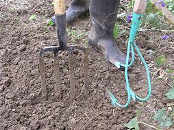 Pripremite vrt za hladne dane: 10 koraka koje savjetuju stručnjaci Pripremite vrt za hladne dane: 10 koraka koje savjetuju stručnjaci