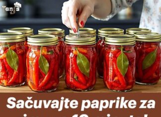 Sačuvajte paprike za zimu za 10 minuta! Ne kvare se godinama! Sačuvajte paprike za zimu za 10 minuta! Ne kvare se godinama!