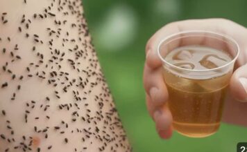 Samo 3 kapi i buhe su nestale! Jače od tone otrova. Samo 3 kapi i buhe su nestale! Jače od tone otrova.