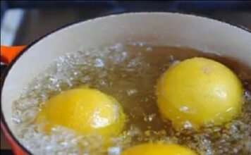 Skuvajte limun pred spavanje i popijte tečnost ujutru – Evo šta će se desiti sa vašim telom! Skuvajte limun pred spavanje i popijte tečnost ujutru – Evo šta će se desiti sa vašim telom!