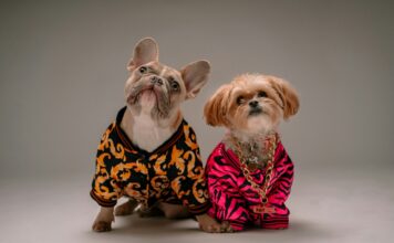 Tri pruge i četiri šape: Adidas lansirao novu kolekciju odeće, ali za ljubimce Tri pruge i četiri šape: Adidas lansirao novu kolekciju odeće, ali za ljubimce