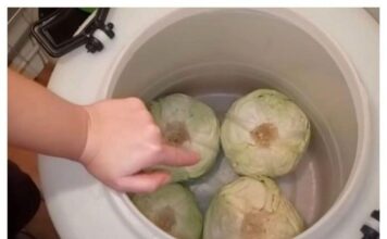 U kiseli kupus obavezno dodajte 1 poseban sastojak: Brže se kiseli, a neće se kvariti U kiseli kupus obavezno dodajte 1 poseban sastojak: Brže se kiseli, a neće se kvariti