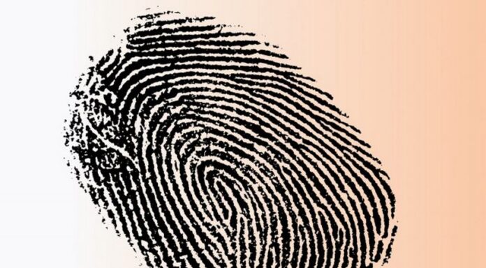 Uhapšene dvije osobe osumnjičene za pljačku dragulja u Louvreu Uhapšene dvije osobe osumnjičene za pljačku dragulja u Louvreu