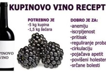 VEOMA LJEKOVITO VINO OD KUPINA: Napravite ga sami po ovom receptu VEOMA LJEKOVITO VINO OD KUPINA: Napravite ga sami po ovom receptu