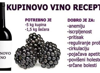 VEOMA LJEKOVITO VINO OD KUPINA: Napravite ga sami po ovom receptu VEOMA LJEKOVITO VINO OD KUPINA: Napravite ga sami po ovom receptu