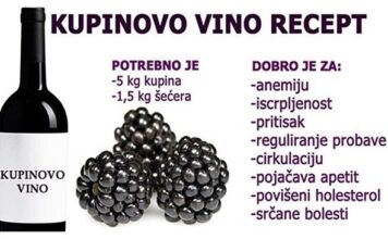 VEOMA LJEKOVITO VINO OD KUPINA: Napravite ga sami po ovom receptu VEOMA LJEKOVITO VINO OD KUPINA: Napravite ga sami po ovom receptu
