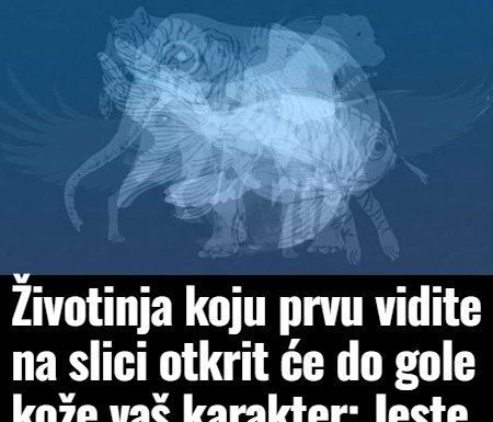 Životinja koju prvu vidite na slici otkrit će do gole kože vaš karakter: Jeste li spremni? Životinja koju prvu vidite na slici otkrit će do gole kože vaš karakter: Jeste li spremni?