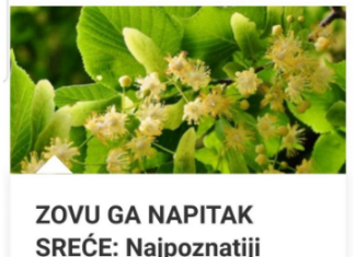 ZOVU GA NAPITAK SREĆE: Najpoznatiji Travar 20 Stoljeća Otkriva Recept Za Čaj Koji Eliminiše Nervozu Organizma! ZOVU GA NAPITAK SREĆE: Najpoznatiji Travar 20 Stoljeća Otkriva Recept Za Čaj Koji Eliminiše Nervozu Organizma!