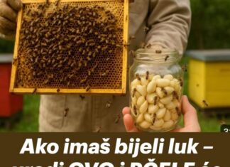 Ako imaš bijeli luk – uradi OVO i PČELE će ti biti potpuno zdrave tokom cijele sezone! Ako imaš bijeli luk – uradi OVO i PČELE će ti biti potpuno zdrave tokom cijele sezone!