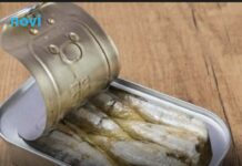 Ako imate ove 3 bolesti ni slučajno nemojte jesti sardine Ako imate ove 3 bolesti ni slučajno nemojte jesti sardine