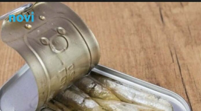 Ako imate ove 3 bolesti ni slučajno nemojte jesti sardine Ako imate ove 3 bolesti ni slučajno nemojte jesti sardine