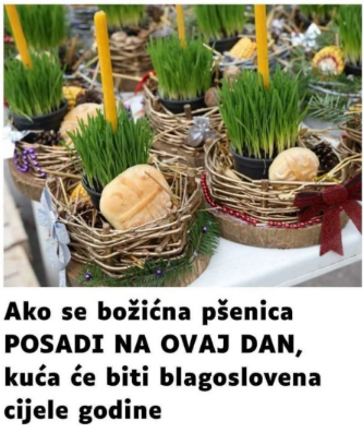 Ako se božićna pšenica P0SADI NA 0VAJ DAN, kuća će biti blagoslovena cijele godine- URADITE TO NA VREME… Ako se božićna pšenica P0SADI NA 0VAJ DAN, kuća će biti blagoslovena cijele godine- URADITE TO NA VREME…