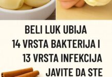 Bijeli luk: Prirodni antibiotik koji uništava infekcije Bijeli luk: Prirodni antibiotik koji uništava infekcije