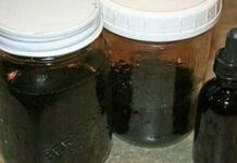 “Bio sam otpisan, ali priroda me spasila!” – Bugarski čovjek otkrio tajnu biljku koja je uništila njegov tumor i promijenila mu život! “Bio sam otpisan, ali priroda me spasila!” – Bugarski čovjek otkrio tajnu biljku koja je uništila njegov tumor i promijenila mu život!