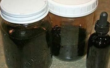 “Bio sam otpisan, ali priroda me spasila!” – Bugarski čovjek otkrio tajnu biljku koja je uništila njegov tumor i promijenila mu život! “Bio sam otpisan, ali priroda me spasila!” – Bugarski čovjek otkrio tajnu biljku koja je uništila njegov tumor i promijenila mu život!