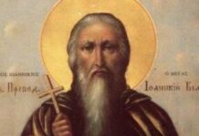 Danas slavimo prepodobnog Joanikija: Ova molitva može da vam spasi dušu, evo šta treba da IZGOVORITE Danas slavimo prepodobnog Joanikija: Ova molitva može da vam spasi dušu, evo šta treba da IZGOVORITE