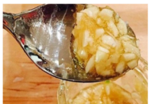 DAR OD BOGA-MED, ORASI, SIRĆE, BIJELI LUK LIJEČE SKORO SVE: Pogledajte koliko je zdrava ova kombinacija DAR OD BOGA-MED, ORASI, SIRĆE, BIJELI LUK LIJEČE SKORO SVE: Pogledajte koliko je zdrava ova kombinacija