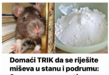 Domaći TRIK da se riješite miševa u stanu, garaži i podrumu: Samo ga stavite na zemlju i sutradan miševa više nema! Domaći TRIK da se riješite miševa u stanu, garaži i podrumu: Samo ga stavite na zemlju i sutradan miševa više nema!