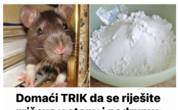 Domaći TRIK da se riješite miševa u stanu, garaži i podrumu: Samo ga stavite na zemlju i sutradan miševa više nema! Domaći TRIK da se riješite miševa u stanu, garaži i podrumu: Samo ga stavite na zemlju i sutradan miševa više nema!