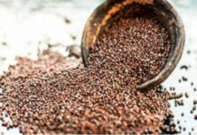 Drevni čuvar zdravlja: Ovo moćno seme sprečava rak, čisti krvotok, štiti srce i pluća i jača imunitet do maksimuma! Drevni čuvar zdravlja: Ovo moćno seme sprečava rak, čisti krvotok, štiti srce i pluća i jača imunitet do maksimuma!