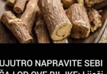 🌿 Ujutro napravite čaj od OVE BILJKE i liječite cijeli organizam! 🌿