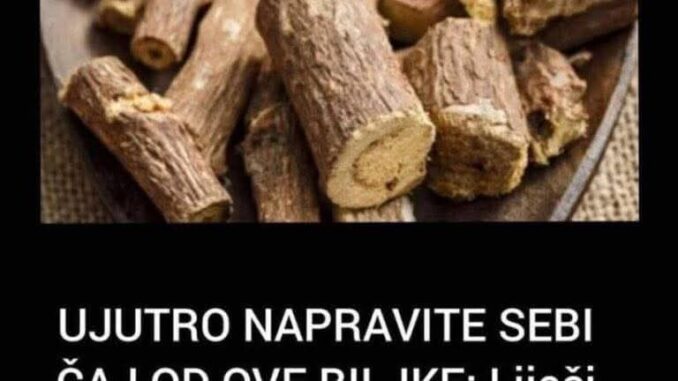 🌿 Ujutro napravite čaj od OVE BILJKE i liječite cijeli organizam! 🌿