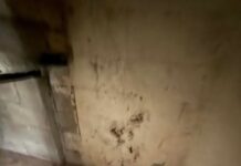 Gledao da kupi kuću, pa u obilasku otkrio tajna vrata u dnevnoj sobi: U jezivom podrumu ostao šokiran prizorom Gledao da kupi kuću, pa u obilasku otkrio tajna vrata u dnevnoj sobi: U jezivom podrumu ostao šokiran prizorom