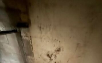 Gledao da kupi kuću, pa u obilasku otkrio tajna vrata u dnevnoj sobi: U jezivom podrumu ostao šokiran prizorom Gledao da kupi kuću, pa u obilasku otkrio tajna vrata u dnevnoj sobi: U jezivom podrumu ostao šokiran prizorom