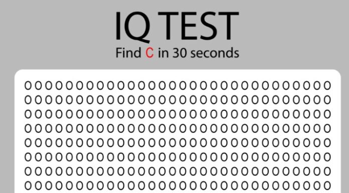 IMATE LI OKO SOKOLOVO? Možete li da pronađete slovo C za samo 30 sekundi? IMATE LI OKO SOKOLOVO? Možete li da pronađete slovo C za samo 30 sekundi?