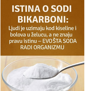 ISTINA O SODI BIKARBONI: Ljudi je uzimaju kod kiseline i bolova u želucu, a ne znaju pravu istinu – EVO ŠTA SODA RADI ORGANIZMU! ISTINA O SODI BIKARBONI: Ljudi je uzimaju kod kiseline i bolova u želucu, a ne znaju pravu istinu – EVO ŠTA SODA RADI ORGANIZMU!