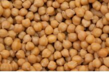 IZBACILI SMO JE IZ UPOTREBE, a samo jedna šaka je u stanju da oporavi cio organizam: Izbacuje toksine,snižava holesterol,pomaže u mršavljenju! IZBACILI SMO JE IZ UPOTREBE, a samo jedna šaka je u stanju da oporavi cio organizam: Izbacuje toksine,snižava holesterol,pomaže u mršavljenju!