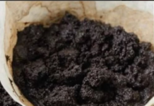 KAD čujete čemu služi talog od kafe, čuvat ćete ga kao zlato: 2 su jaka razloga! KAD čujete čemu služi talog od kafe, čuvat ćete ga kao zlato: 2 su jaka razloga!